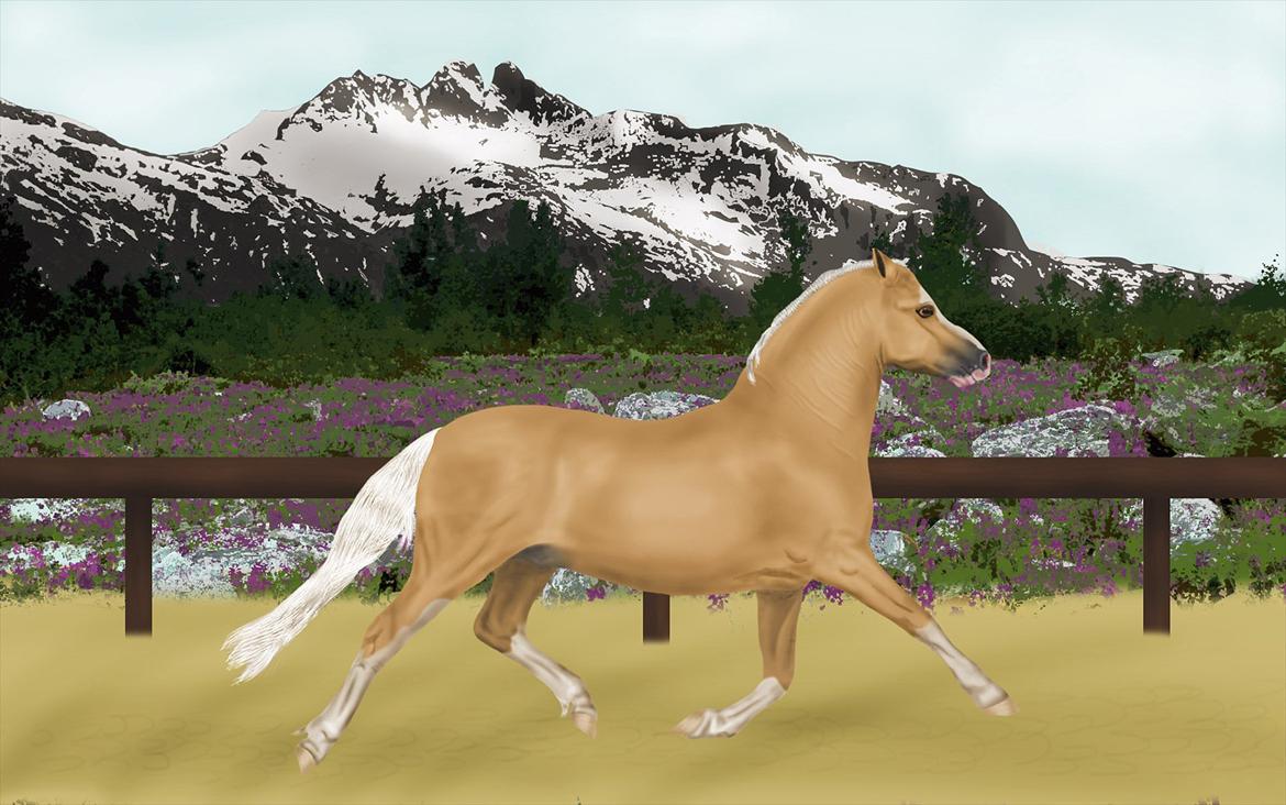 Photoshop Fun! - Welsh Mountain 20.12.2011 billede 15