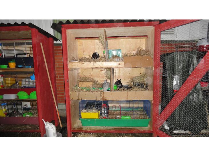 {{currentPhoto.altText}} billede {{currentPhoto.number}}