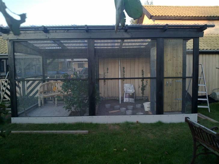 Vores voliere - Så er det færdigt *S* - så nu kan vi godt få kaniner i og indkøbe fugle... billede 6