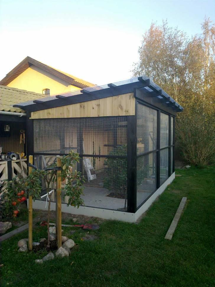 Vores voliere billede 7