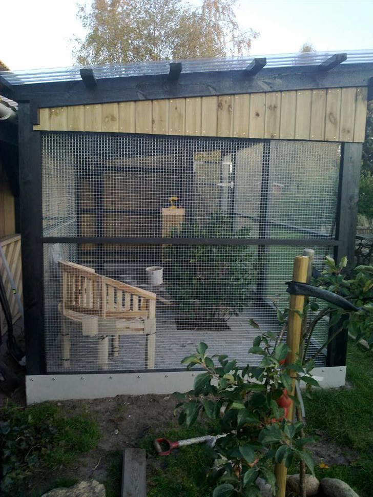 Vores voliere billede 8