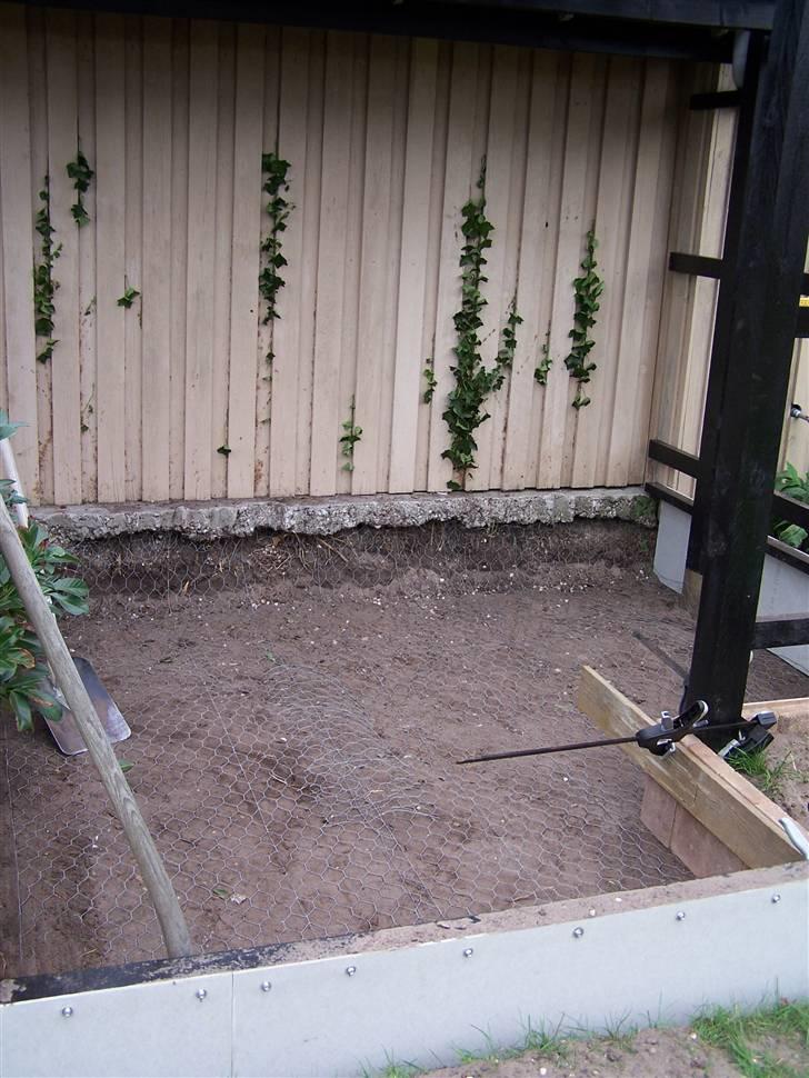 Vores voliere - Net i bunden så kaninerne ikke kan grave sig ud billede 3