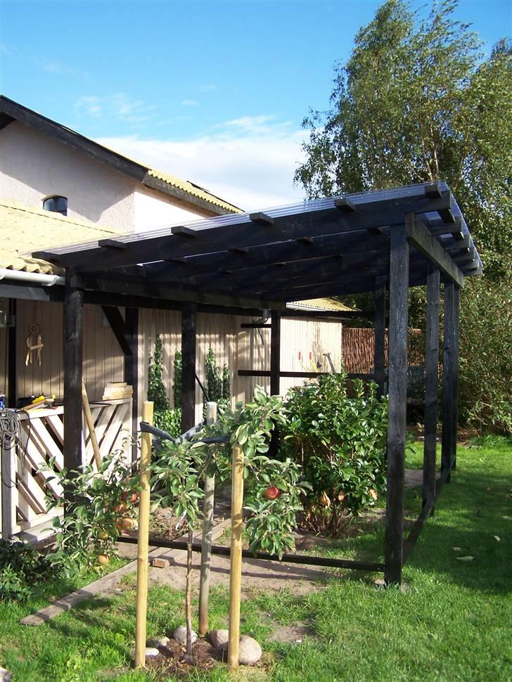 Vores voliere billede 5