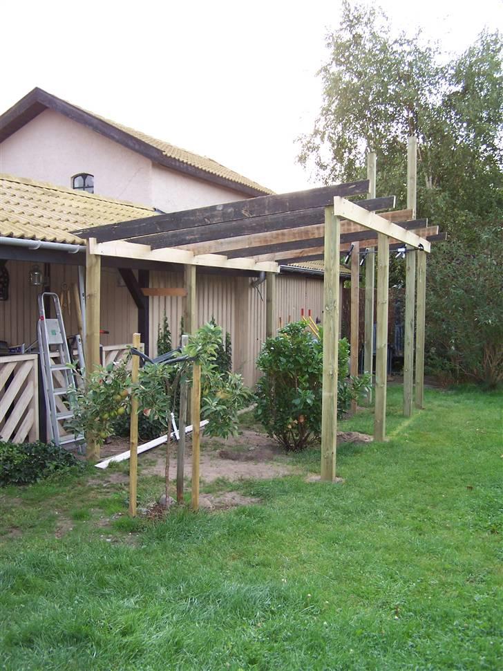 Vores voliere - Så er vi i gang :-) billede 2