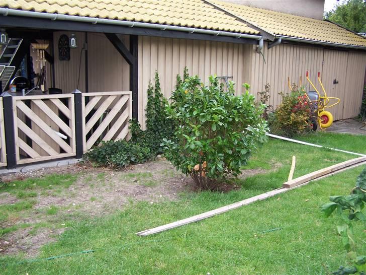 Vores voliere - Der vurderes størrelse på buret.... billede 1