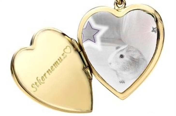 Hjerte billeder til andre ! :D - Til mini marsvine stald billede 3