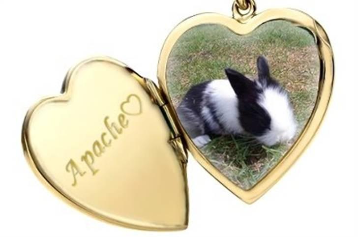 Hjerte billeder til andre ! :D - Til Team dig og mig kan alt sammen J billede 6