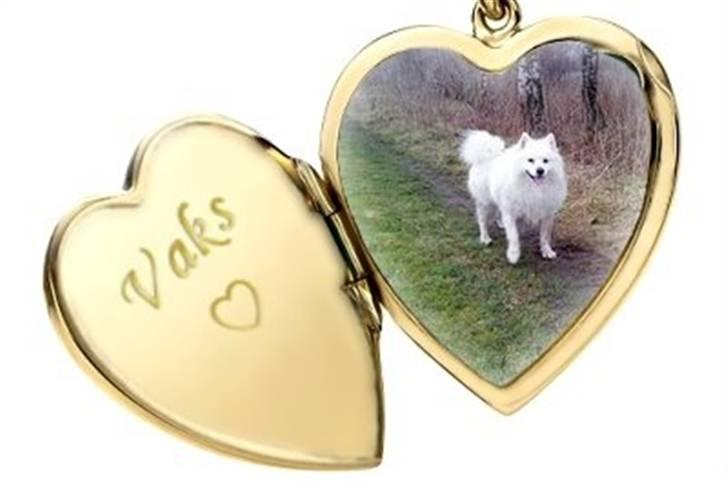 Hjerte billeder til andre ! :D - Til Anne-Mette F af Vaks billede 7