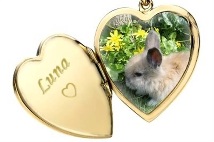 Hjerte billeder til andre ! :D - Til Line Steen J billede 8