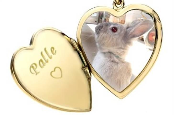 Hjerte billeder til andre ! :D - Til Line Steen J billede 9