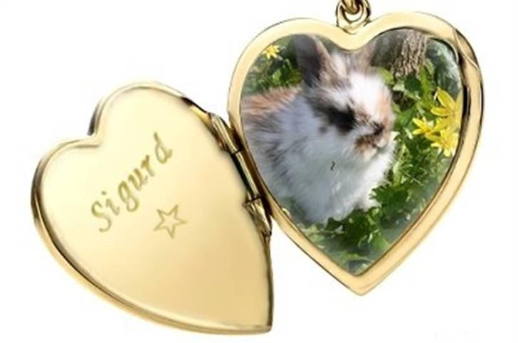 Hjerte billeder til andre ! :D - Til Line Steen J billede 10