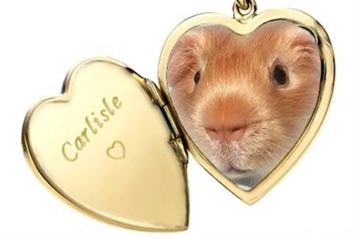 Hjerte billeder til andre ! :D - Til Julie P billede 11