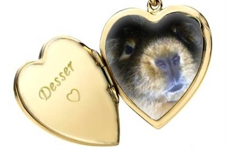 Hjerte billeder til andre ! :D billede 12