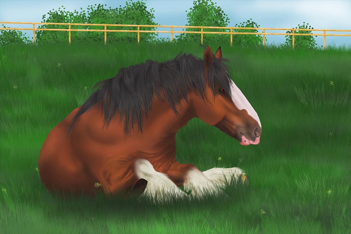 Photoshop Fun! - 30.12.2011 billede 18