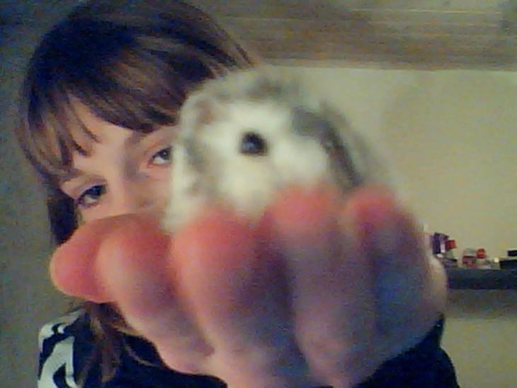 {{currentPhoto.altText}} billede {{currentPhoto.number}}