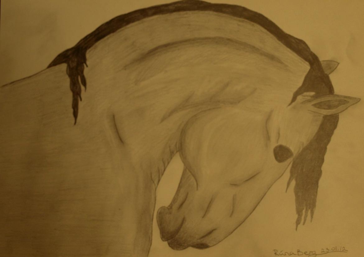 Private tegninger og malerier - Jeg elsker at tegne, og kan ikke skjule, at heste tegningerne er min stærkeste side. Jeg tegner både efter fantasyen, og ved at kigge efter billeder. De fleste heste tegningerne hos mig er tegnet for IRL hesteveninder (:

Denne hest er en meget hurtig tegning. Jeg var virkelig træt af at tegne heste som i mine øjne ikke lignede realistiske heste, så jeg blev nød til at lave en tegning som jeg kunne være stolt af (: Og her er resultatet (: billede 7