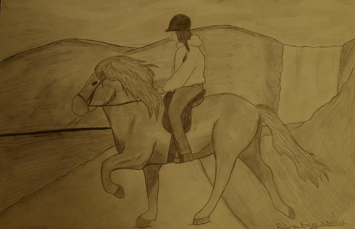 Private tegninger og malerier - Jeg elsker at tegne, og kan ikke skjule, at heste tegningerne er min stærkeste side. Jeg tegner både efter fantasyen, og ved at kigge efter billeder. De fleste heste tegningerne hos mig er tegnet for IRL hesteveninder (:

Dette er en tegning som jeg har tegnet for en veninde, af hende og hendes hest. Siden det er en islænder har jeg valgt at lave en islendsk baggrund (: billede 10