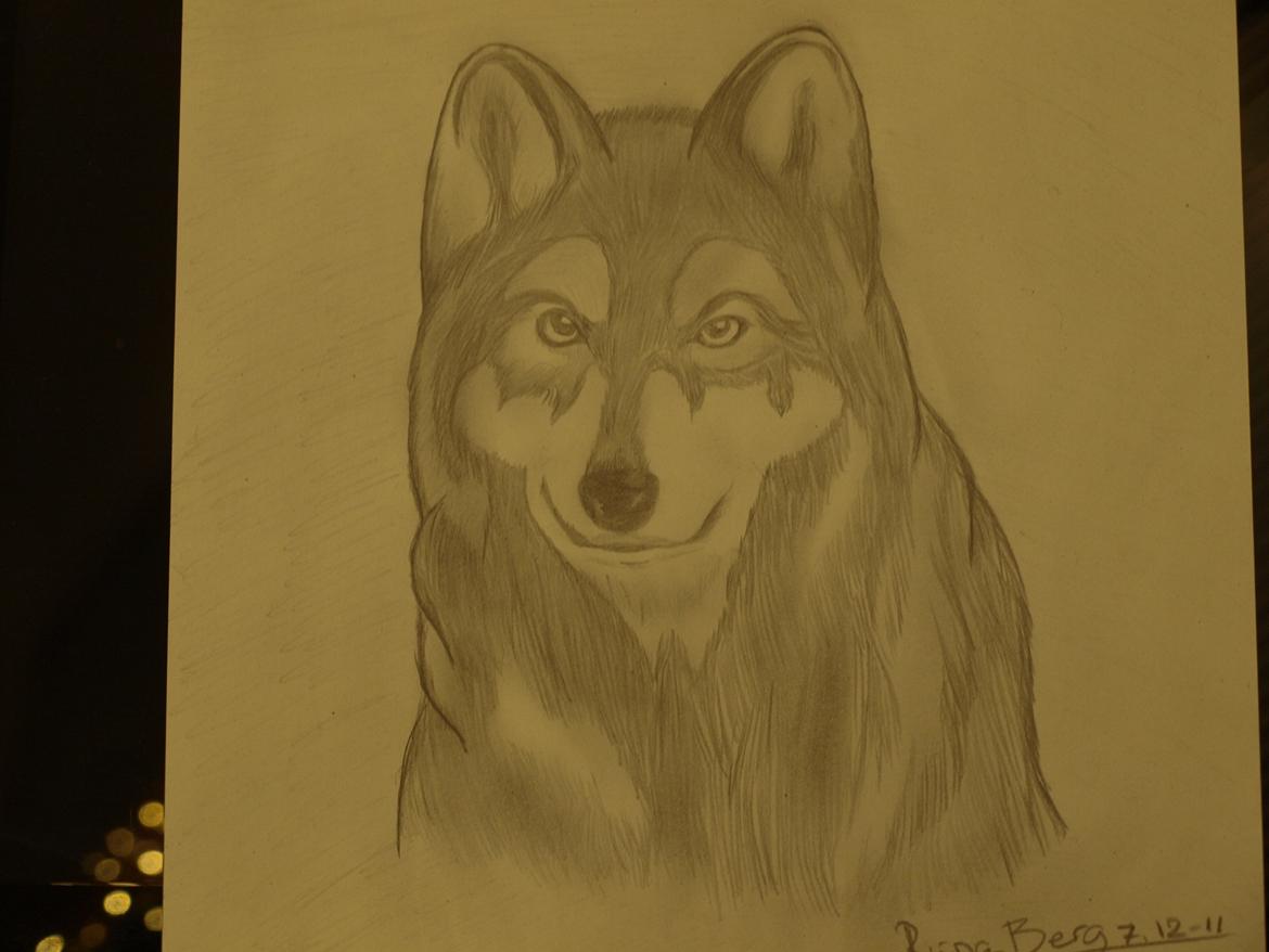 Private tegninger og malerier - Tja... En "ulve hund" tegnet til min lille søster (: billede 14