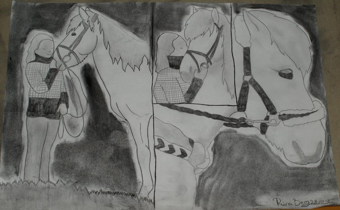 Private tegninger og malerier - En tegning for en veninde/bekendt og hendes hest Ýmir - islænder. - Der mangler lige et øje (; billede 17