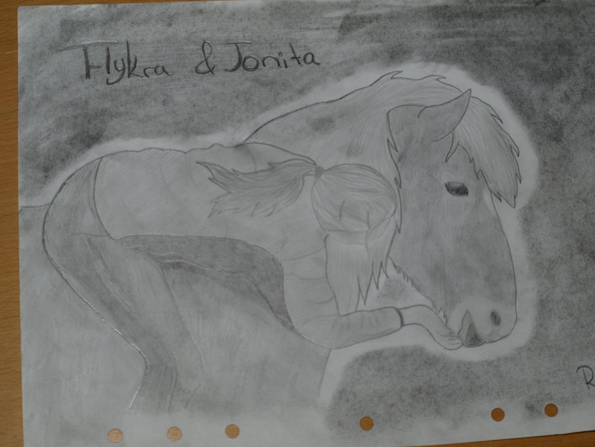 Private tegninger og malerier - En tegning for en veninde/bekendt og hendes hest Flykra (: - Islænder. billede 18