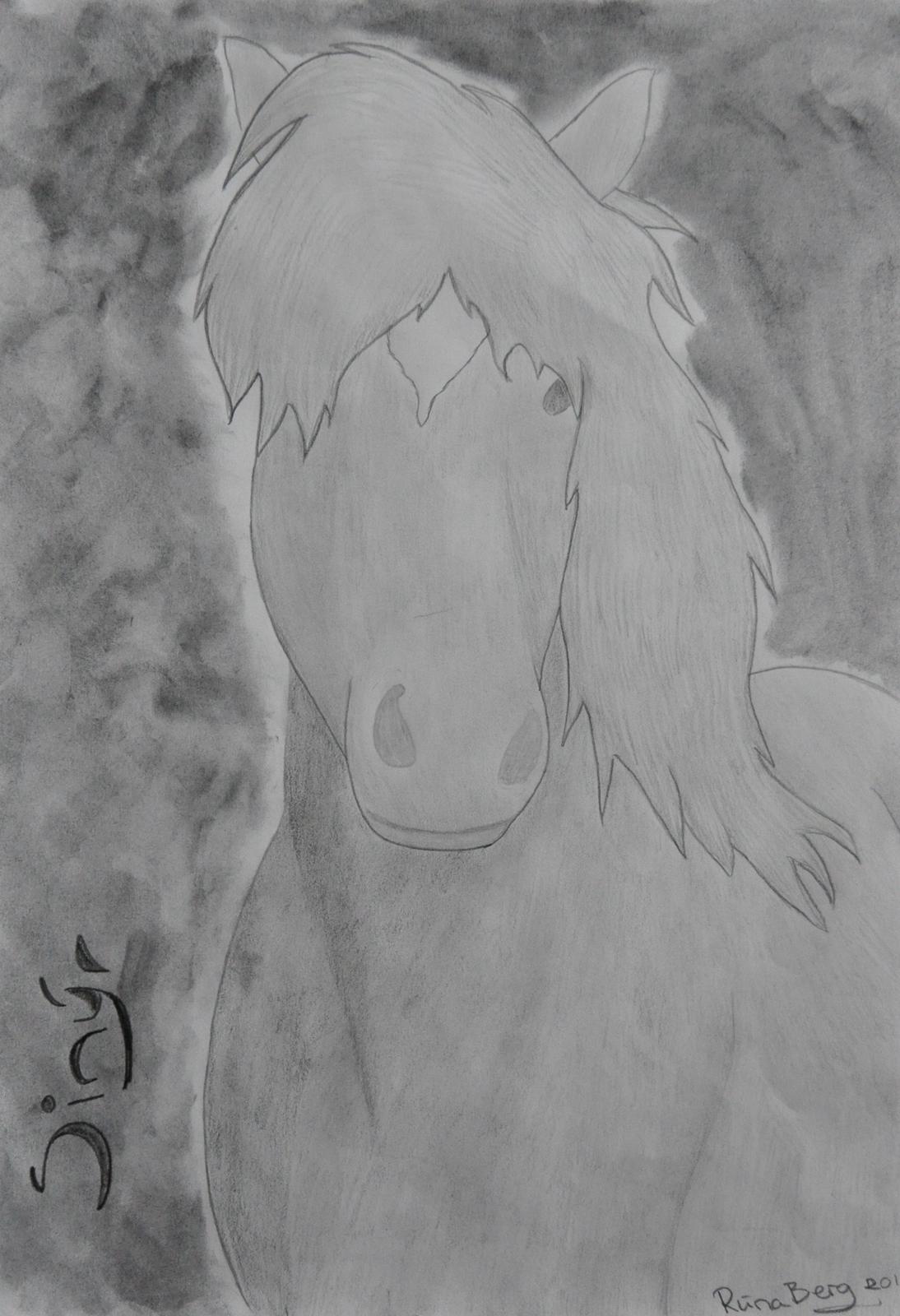Private tegninger og malerier - En tegning for en veninde og hendes hest Sinýr. - Islænder. billede 19