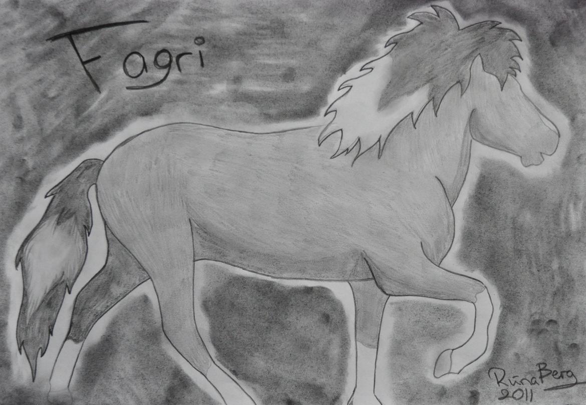 Private tegninger og malerier - En tegning for en veninde/bekendt og hendes hest Fagri. - Islænder. billede 20