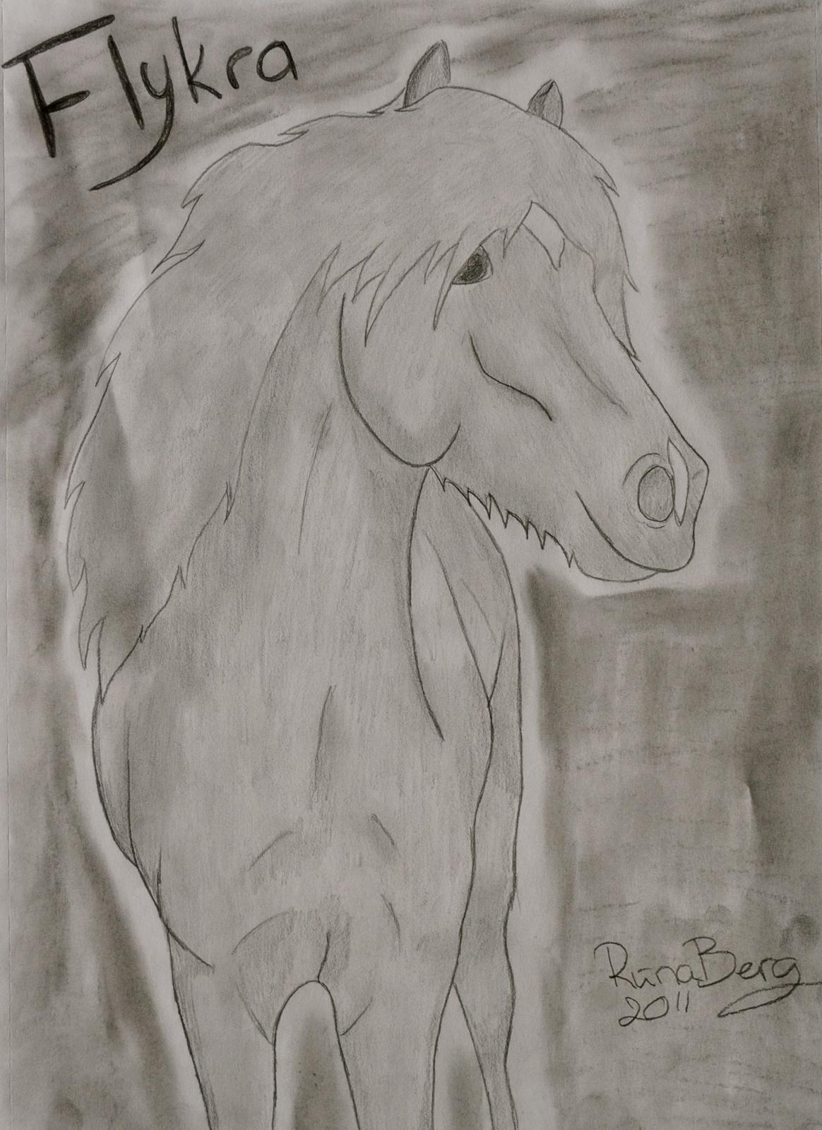 Private tegninger og malerier - En tegning for en veninde og hendes hest Flykra. - Islænder. billede 21