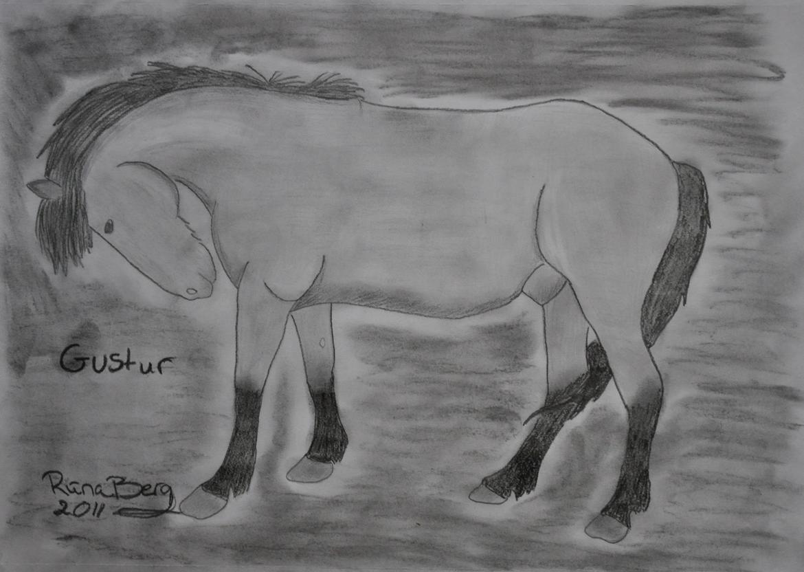 Private tegninger og malerier - Tegning for en veninde og hendes hest, Gustur. - Islænder. billede 23