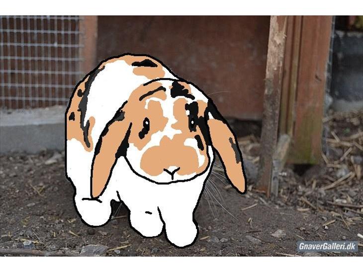 {{currentPhoto.altText}} billede {{currentPhoto.number}}