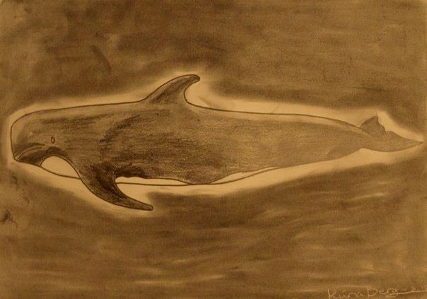 Private tegninger og malerier - Grindehval. Jeg elsker Grindehvalen (: Den både smager godt og er pæn (: Dette er mit første forsøg på at tegne en grindehval. Tænker på at bruge den som en skitse til et maleri, til mit kommende værelse/lejlighed (: billede 24