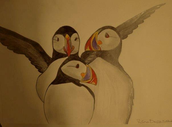 Private tegninger og malerier - Lundi eller Søpapegøje, som den hedder på dansk. Elsker virkelig denne fugl. Igen, så er det en utrolig flot fugl, og den smager utrolig godt! Nok blandt mine livrette, men det er nu godt og vel 10 år siden jeg sidst har prøvet sådan en, da de så småt er ved at blive fredet for et stykke tid, da de er ved at uddø pga. de lorte vild rotter og vild katte, som spiser deres unger og æg :( billede 25