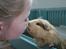 MUSSI - PIGEN :")<3