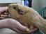 MUSSI - PIGEN :")<3