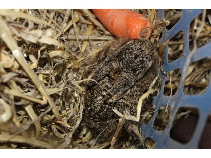 {{currentPhoto.altText}} billede {{currentPhoto.number}}