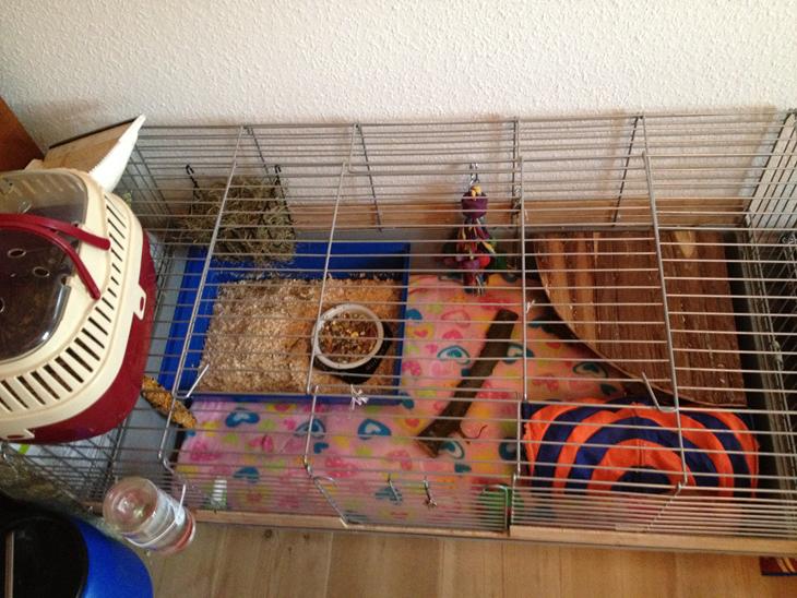 {{currentPhoto.altText}} billede {{currentPhoto.number}}