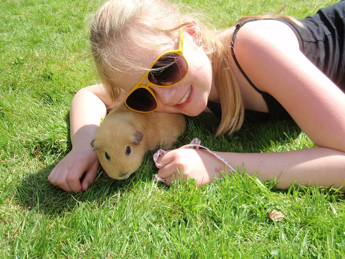 Sol sommer og godt græs <3 billede 1