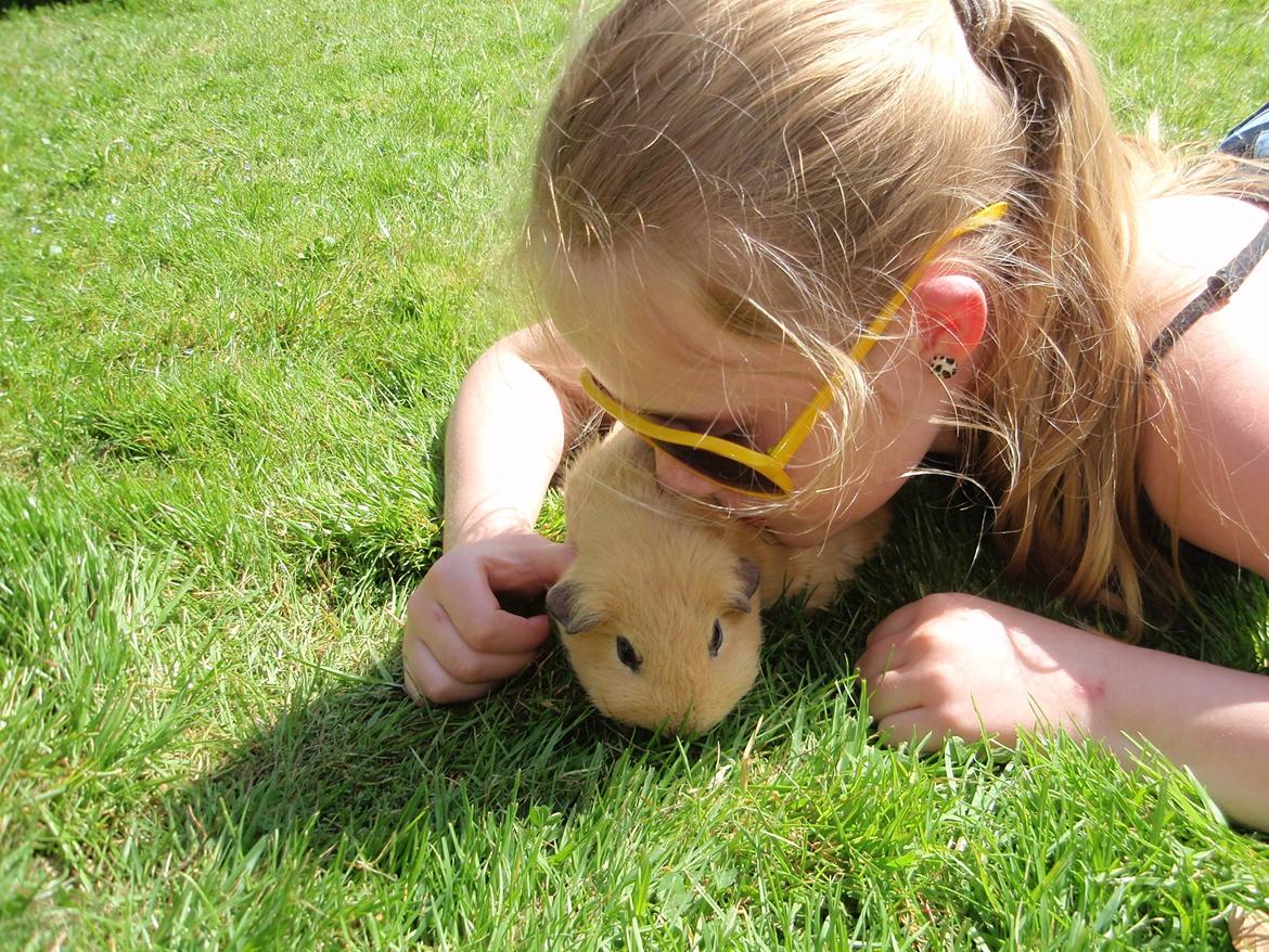 Sol sommer og godt græs <3 billede 3