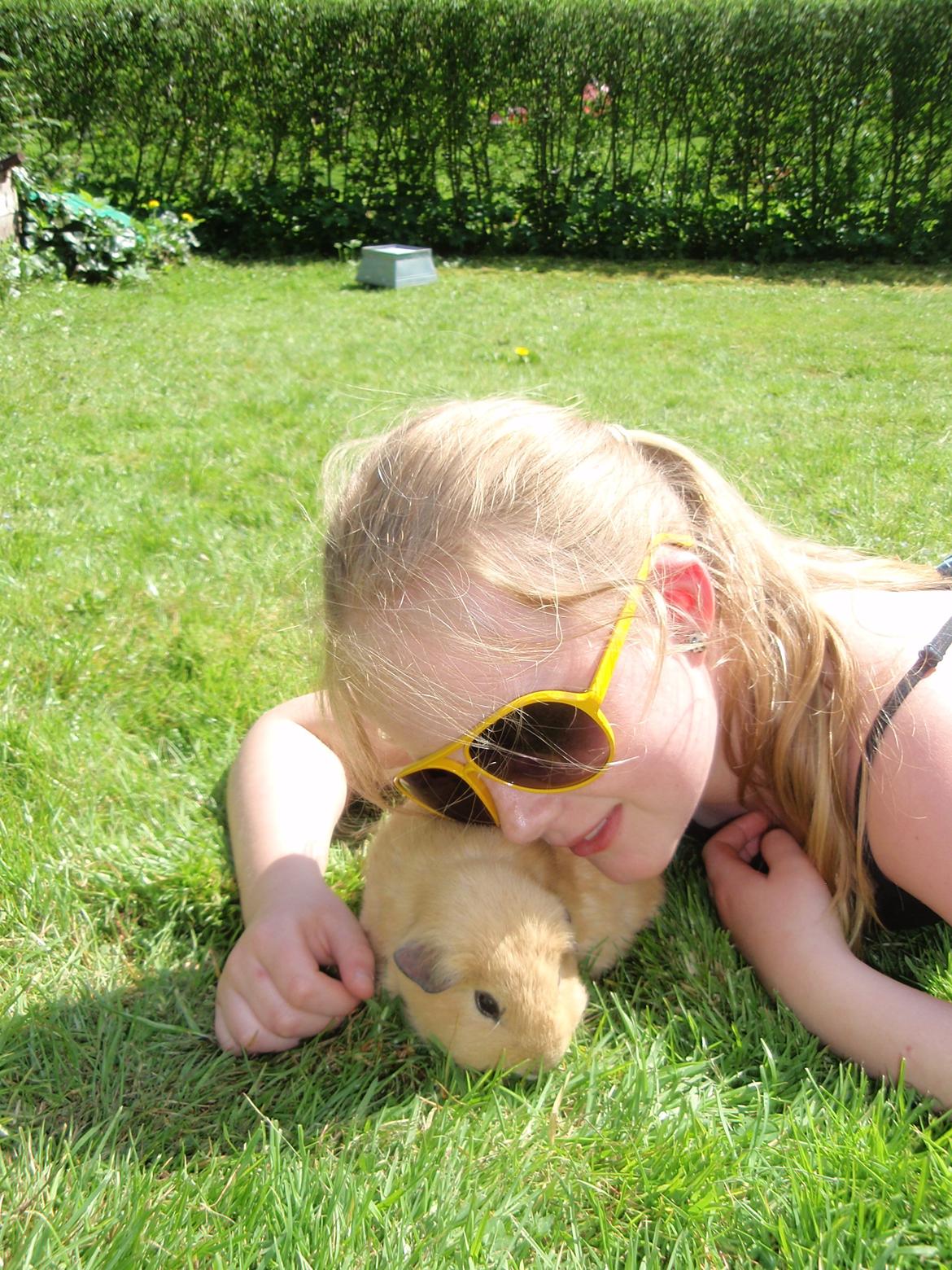 Sol sommer og godt græs <3 billede 4