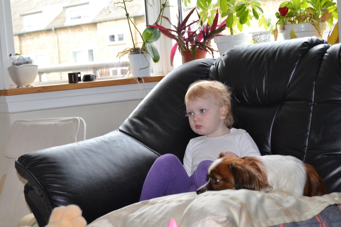 Min Hund Lady <3<3 (Tidligere hund) :'( - Min lille søster Caroline og Lady :) billede 19