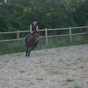 verdens bedste pony!<3