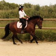 verdens bedste pony!<3