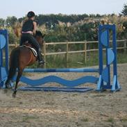 verdens bedste pony!<3