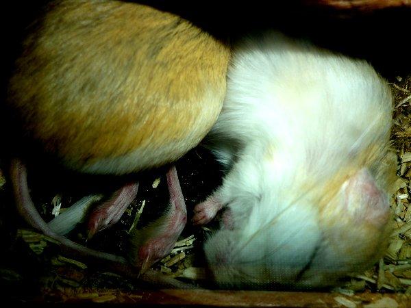 Underlige sovestillinger? billede 19