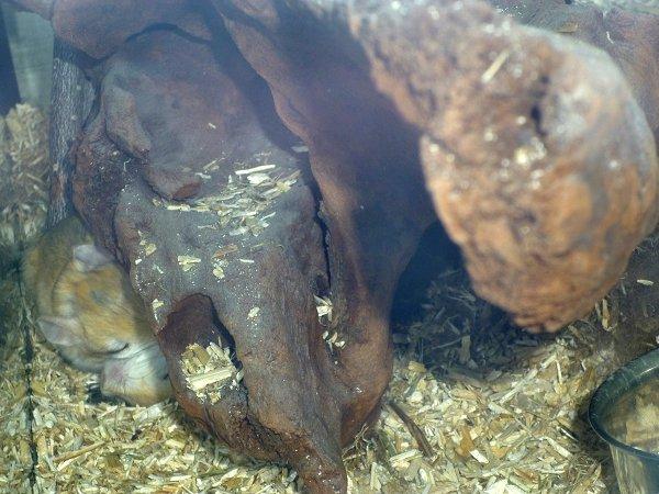 Underlige sovestillinger? billede 21