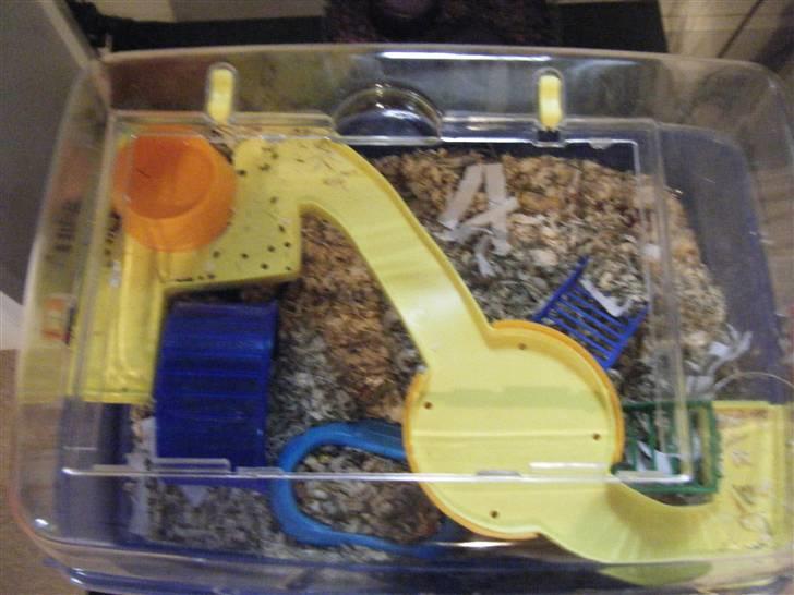 Mit nye bur! - Her kan du se buret oppefra med alle "platformene" billede 3