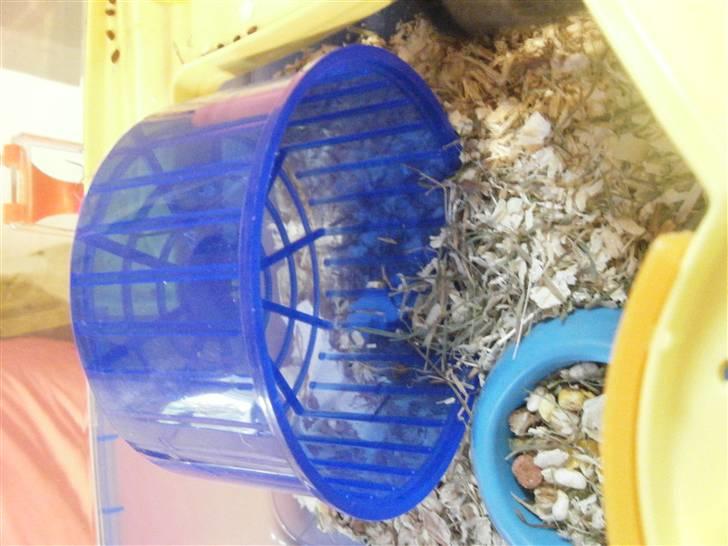 Mit nye bur! - Her er hjulet, som sidder fast på en af platformene :D billede 6