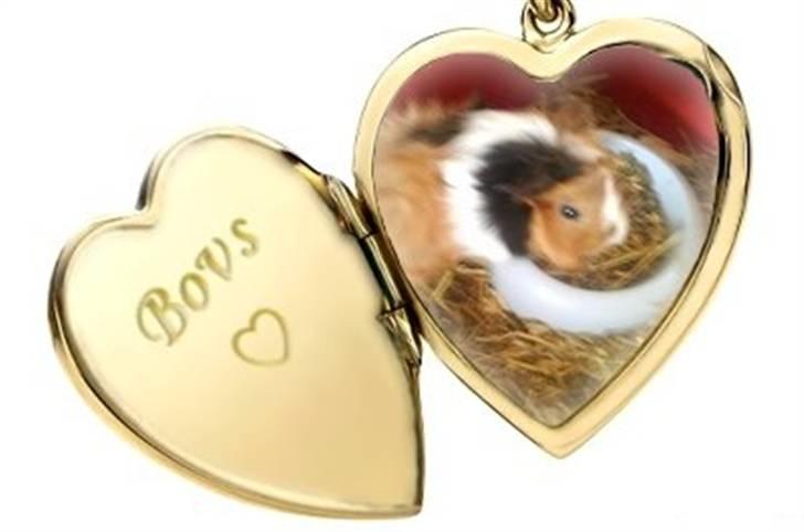 Hjerte billeder til andre ! :D - Til Line O billede 14