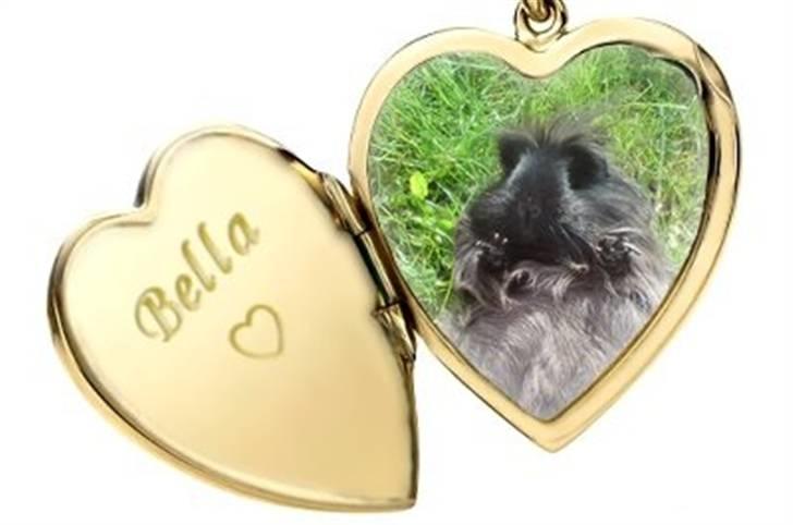 Hjerte billeder til andre ! :D - Til
Frederikke - Med de skønneste uldtotter:) .
 billede 16