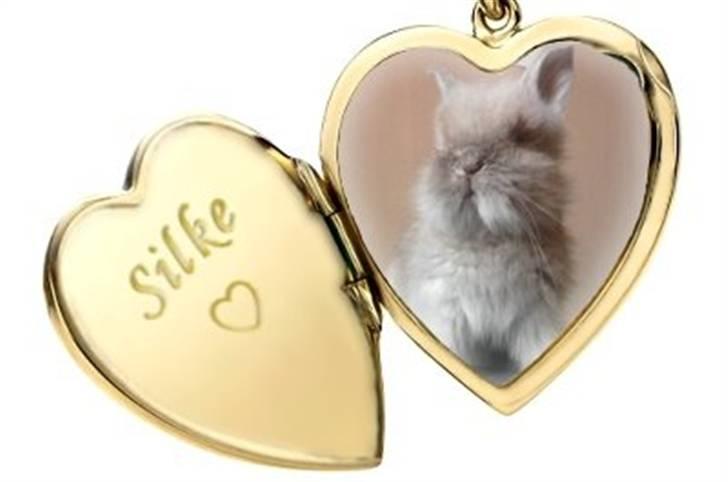 Hjerte billeder til andre ! :D - Til 
Frederikke - Med de skønneste uldtotter:) .
 billede 17