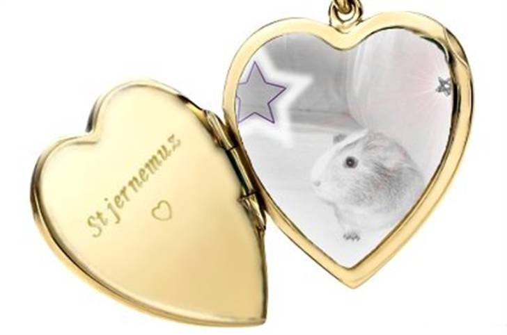 Hjerte billeder til andre ! :D - Til *mini marsvine stald * billede 19